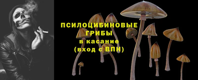 закладки  Ворсма  MEGA зеркало  Галлюциногенные грибы Cubensis 